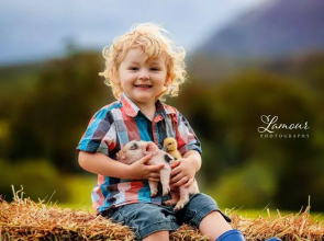 Blackwattle Farm B&B