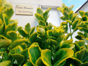 Green Element Guesthouse