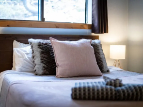 Enjoy Tahoe Lakeview Bliss Pet Friendly!