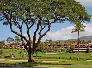 Whaler at Kaanapali Beach 370