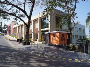 Sea Shell Coral Cove