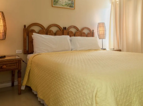 Ocho Rios Vacation - Apartment