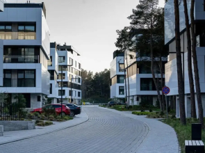 Art Forrest 33 M in Rogowo