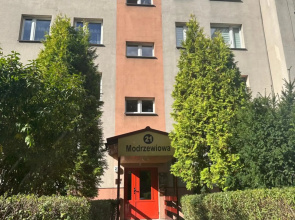 Modrzewiowa