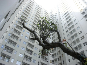 Luxurious 2Br Apartment At Parahyangan Residence