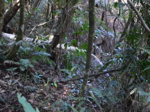 Pousada da Lua São Pedro