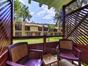 Robinson Camyuva - Adults only