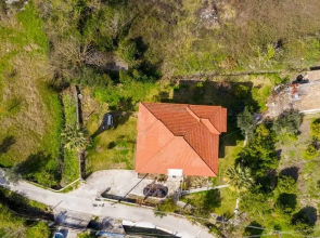 Orange Grove