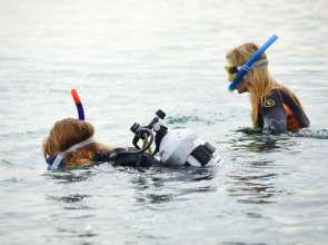 Novotel Sharm el Sheikh