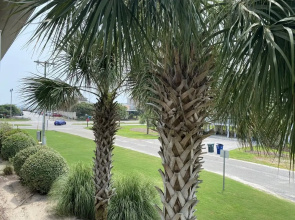 Tilghman Lakes P1 3 Bedroom Condo by Redawning, North Myrtle Beach