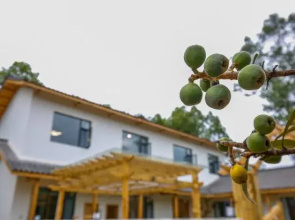Mianyang orange courtyard home stay
