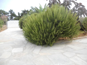 Villa Kampos Paros