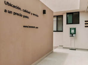 Pájaros by Homirent