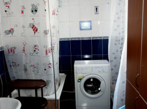 Жилое помещение Кот Матроскин на Чернышевского