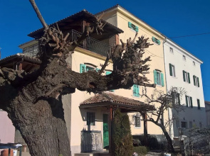 Villa Angiolina