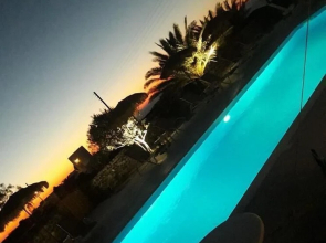 Ecoxenia Studios