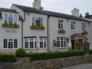The Dog In Over Peover