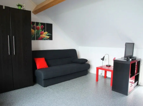 Holiday Home in Langweer With Infrared Sauna