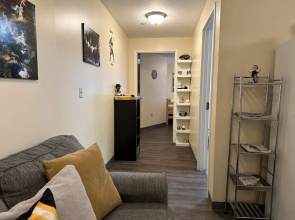 Darling Downtown Delightful Entire Efficiency APT