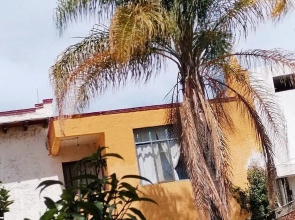 La Finca