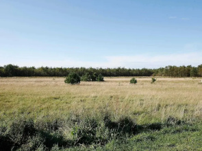 Holiday home Jerup VII