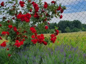 Penzion Na Lednické