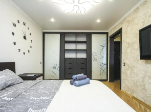 Apartments on Pushkin street 14