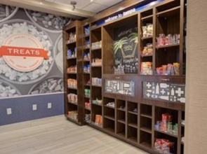 Hampton Inn & Suites Tampa Busch Gardens Area