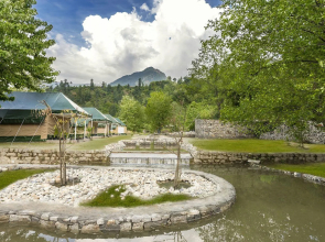 Tall Trees Resort
