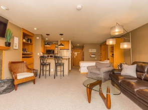 Lakeside #1493 - Studio Br Condo