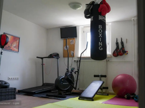 Entire House in Schwarzwald with mountain view, private Gym,Sauna and Garden
