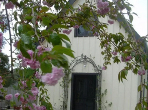 Silverleaf Cottage