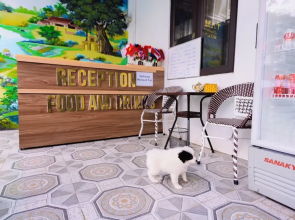 Family Homestay Mountain Flower