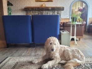 The Hand Hotel Bed & Breakfast