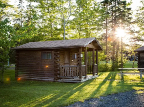 Narrows Too Camping Resort Cabin 6