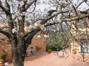 Agriturismo Podere Capiteto