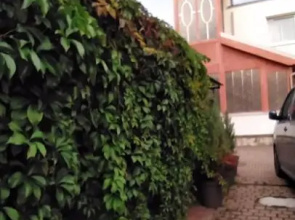 Pokoje Goscinne Niedzwiedz