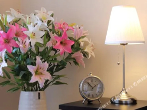 Royal Prague Apartment Celakovskeho Sady