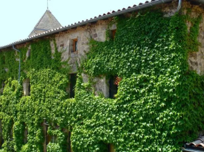 Lancien Couvent De Nozières