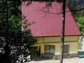 Guest House Borjomi Forest
