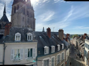 T2 - Au calme RoyaLoire - château à vue - luxe, rénové 2022