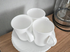 Hotel Leon (Леон)