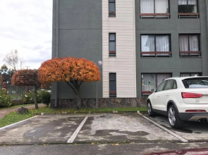 El Nido Villarrica Apartment