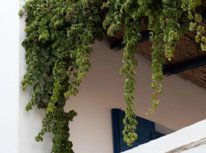 Antonina Hotel Apartments