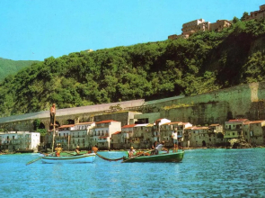 U Catoiu