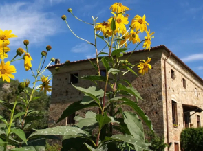 Agriturismo Al Palazzaccio