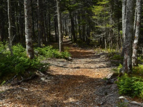 The Doctor's House Inn & Spa