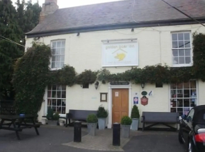 The Golden Boar