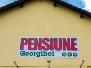 GEORGIBEL