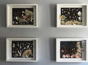 Rua Apartments Mouzinho